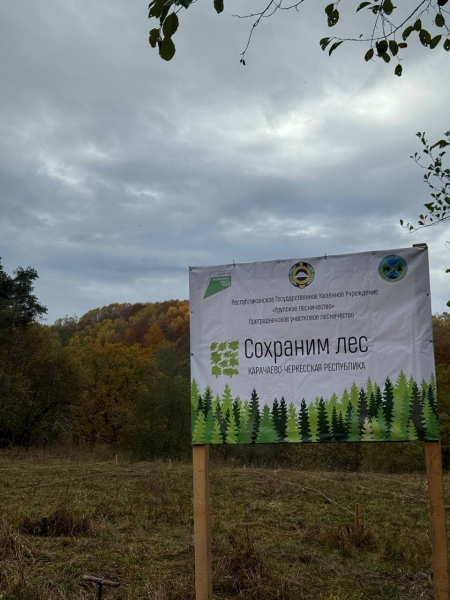 В Карачаево-Черкесии прошло центральное мероприятие акции «Сохраним лес», реализуемой в рамках нового национального проекта «Экологическое благополучие». В Карачаево-Черкесии прошло центральное мероприятие акции «Сохраним лес», реализуемой в рамках нового национального проекта «Экологическое благополучие».